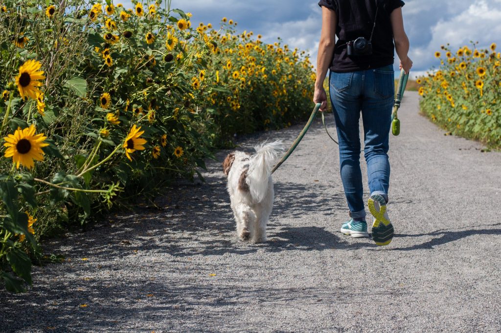 Woman walking with her dog down a path